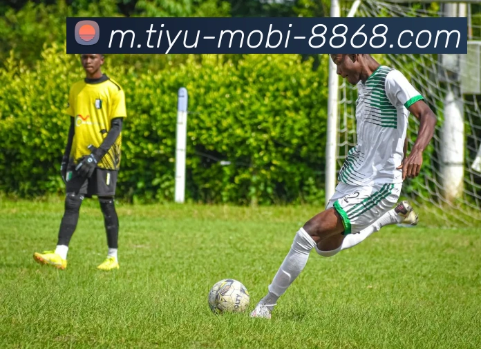 8868体育品牌故事