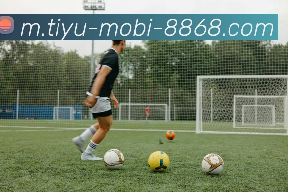 8868体育服务体系